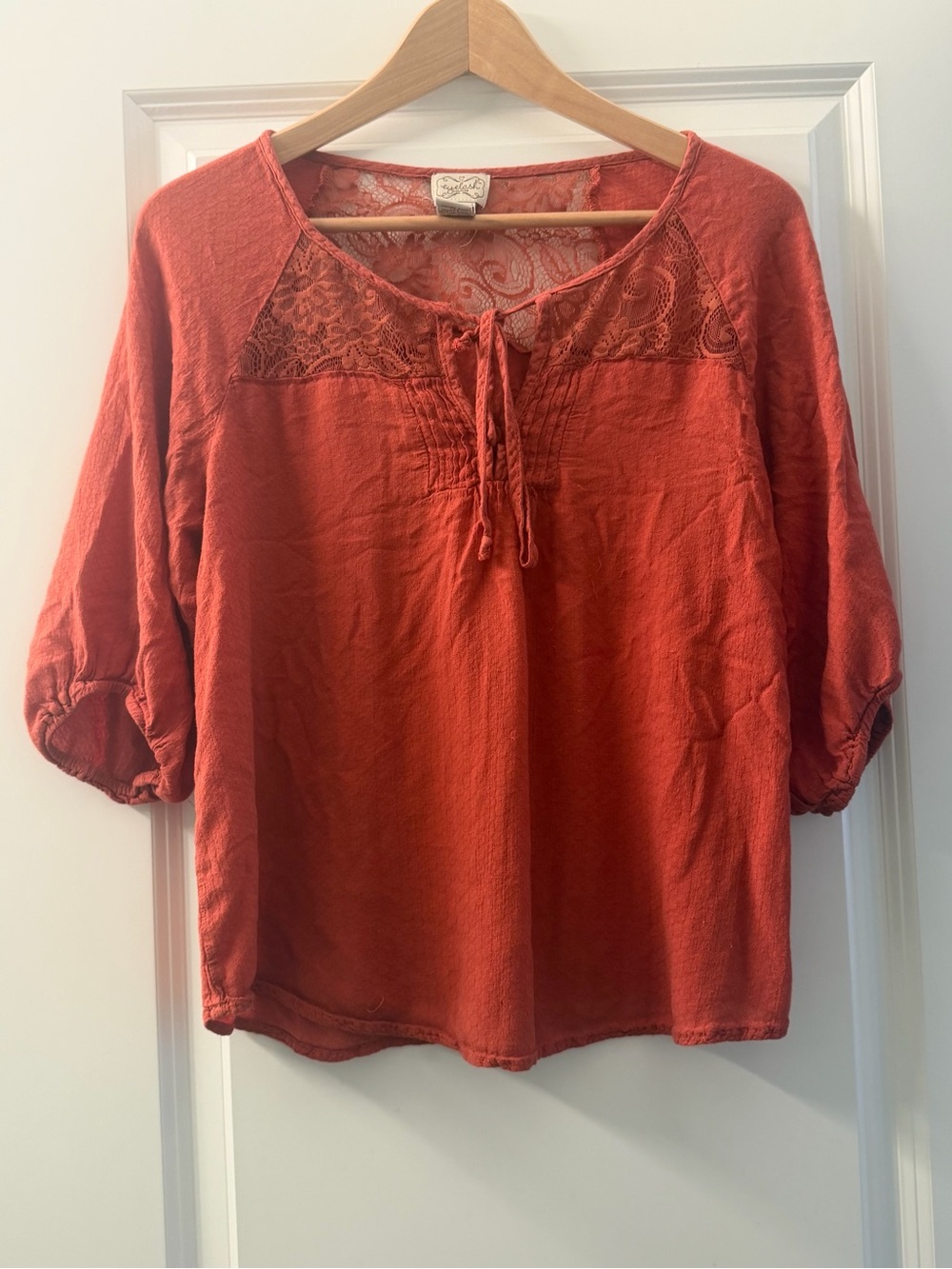eyelash couture Rust Lace Yoke Tie-Neck Tunic Top
